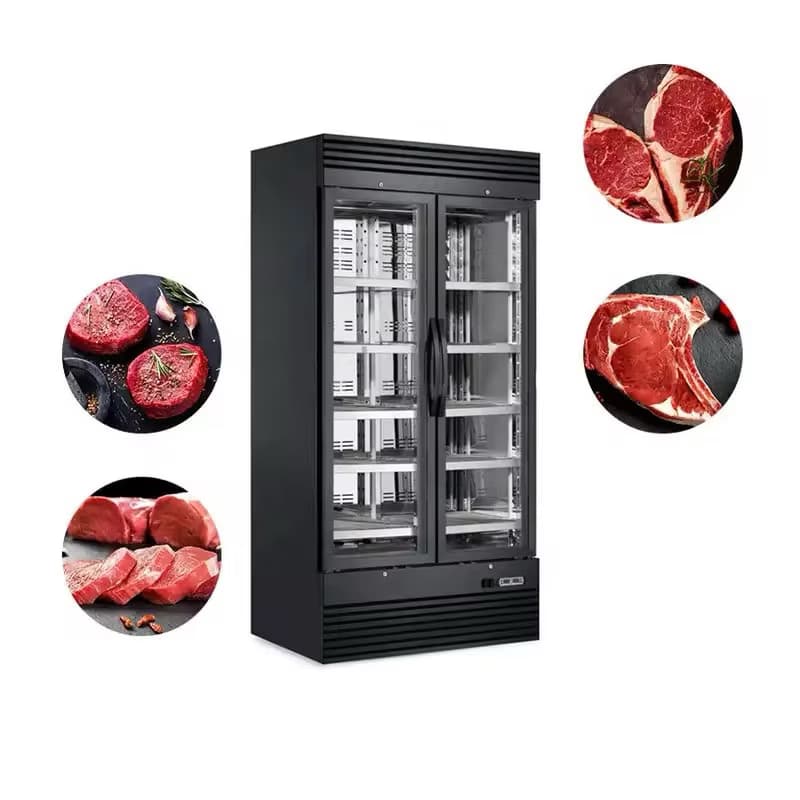 Vitrina frigorifica profesionala pentru maturat carne - 2 usi, control umiditate si sare de Himalaya