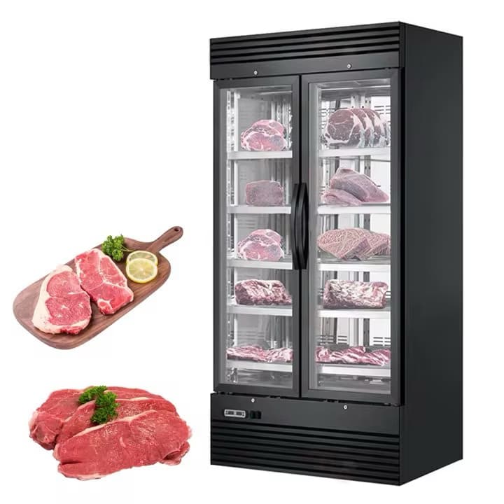 Vitrina frigorifica profesionala pentru maturat carne - 2 usi, control umiditate si sare de Himalaya